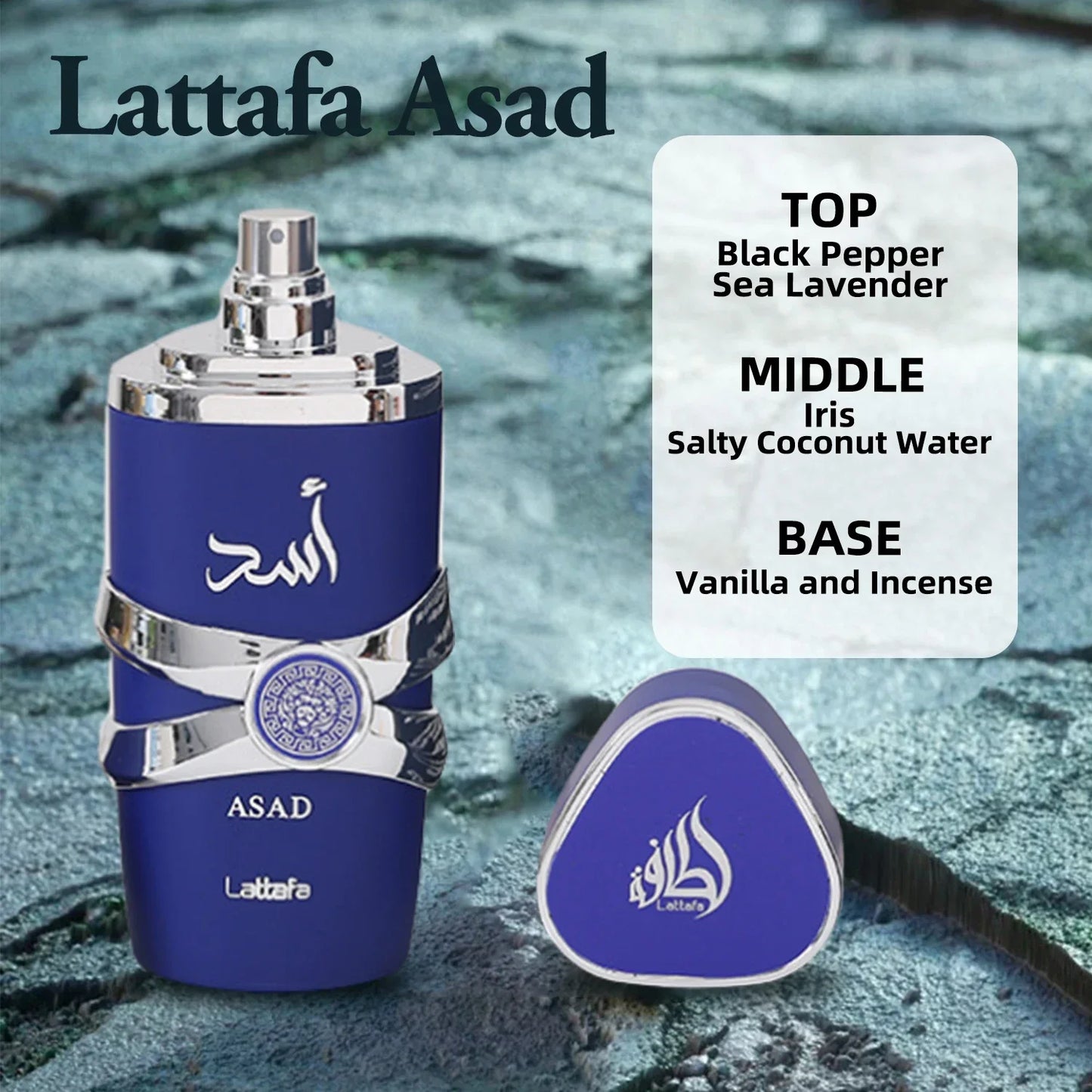 Lattafa Asad Bourbon 100ML – Unisex Floral Fruity Perfume with Pheromones