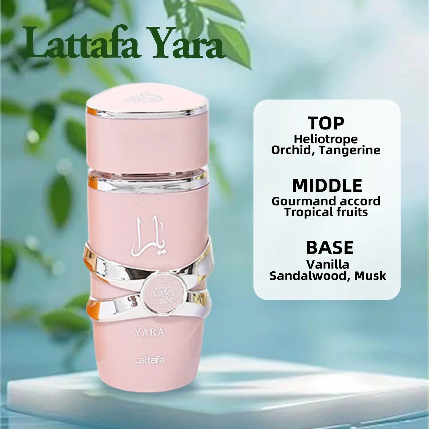 Lattafa Asad Bourbon 100ML – Unisex Floral Fruity Perfume with Pheromones